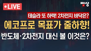 [쩜상 시크릿] 반도체·2차전지 소외되면 우리가 봐야할 섹터는?