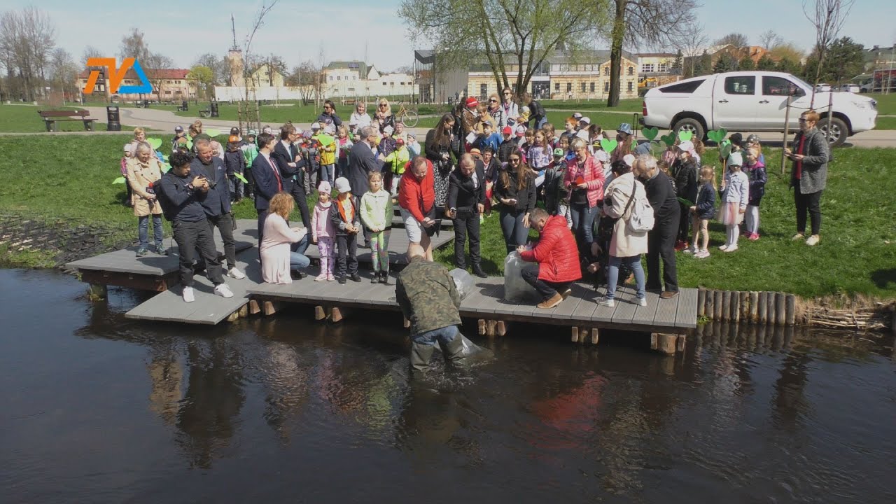Pstrągi trafiły do Czarnej Hańczy |TV SUWAŁKI