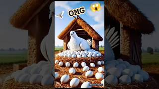 OMG 😱 #shortsvideo #shorts #shortsviral