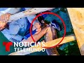 Tiburón muerde a un trabajador hispano en Florida | Noticias Telemundo