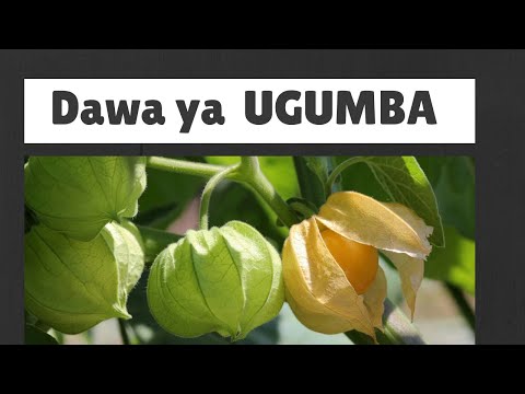 Video: TOP 7 isiyo ya kawaida ya ufumbuzi wa usanifu