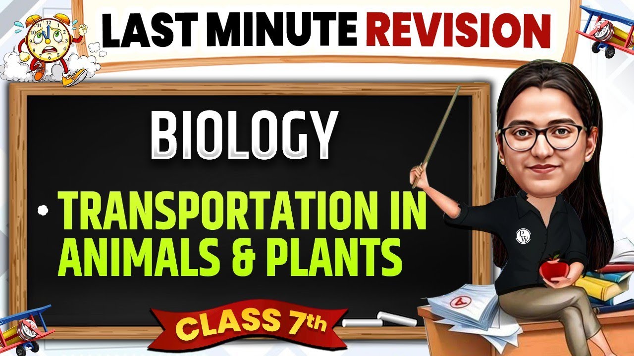 Transportation in Animals and Plants Class 7 Science | Complete Last ...