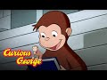 Curious George 🐵  How to Organize Your Books 🐵  Kids Cartoon 🐵  Kids Movies 🐵 Videos for Kids