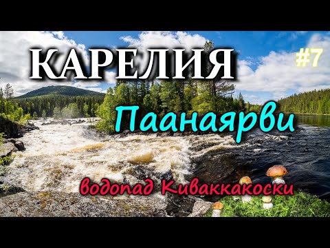 Video: Paanajärvi milliy bog'i, Kareliya: tavsif, diqqatga sazovor joylar va qiziqarli faktlar