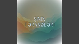 Şınıx Təranələri