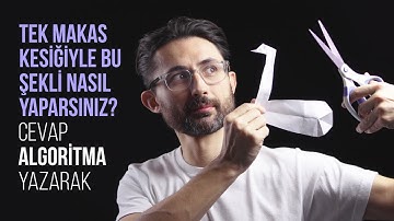 Tek bir makas kesiğiyle bu şekli nasıl yaparsınız? Cevap: algoritma yazarak