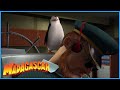 DreamWorks Madagascar | The Penguins Takes Over The Ship | Madagascar Movie Clip