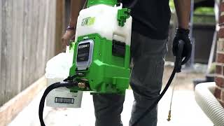All Natural Pest Control Solutions in Portland, Oregon