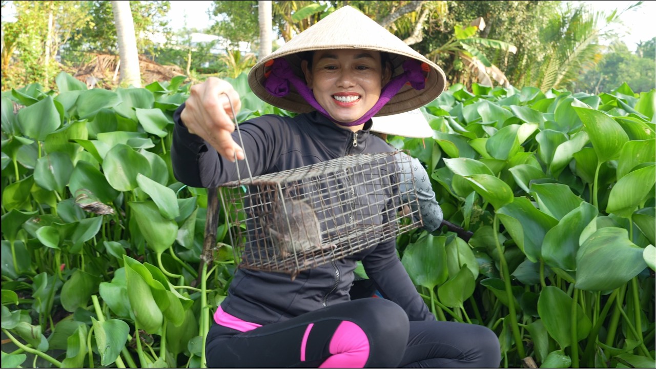 1853 / Bẫy chuột cống nhum