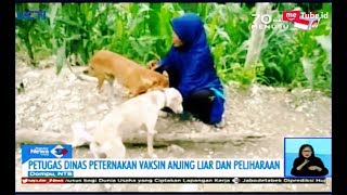 486 Warga di Dompu Digigit Anjing Rabies, 4 Meninggal Dunia - SIS 05/02