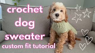 Crochet Dog Sweater - easy, custom fit for any size