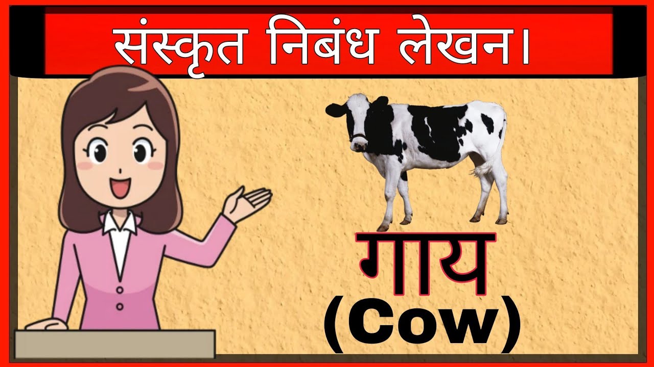 essay of cow in sanskrit