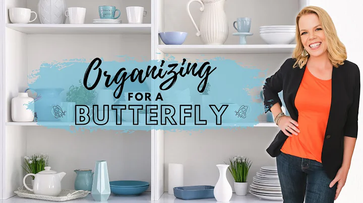 *New* Organizing Ideas and Tips for Butterflies!