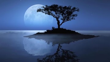 No.7 Alone With My Thoughts (Artist : Esther Abrami)