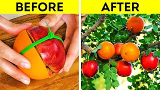 Outstanding Gardening Hacks For Every Household