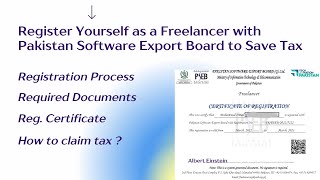 How to Register as a Freelancer in PSEB Pakistan | Zero Tax on Registered Freelancer 2022 screenshot 4