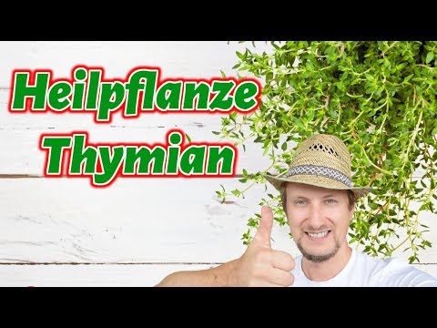 Video: 7 Verwendung Und Nutzen Von Thymianöl