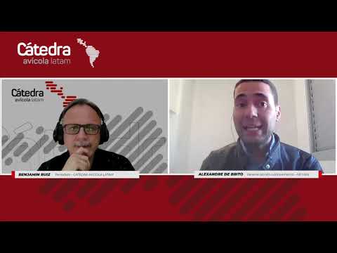 Por qué usar fibra fermentable en nutrición avícola