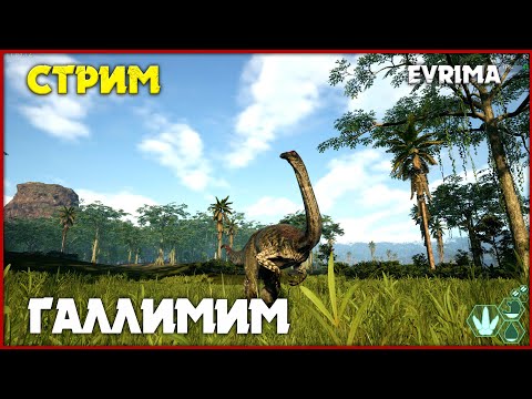 Видео: Изучаем нового галлимима [The Isle Evrima] СТРИМ