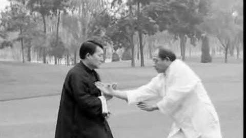 Yin Style Baguazhang Master Wang Shangzhi