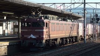JR貨物 EF81 28号機牽引3096レ/Japanese Loco ClassEF81 2011/1/12
