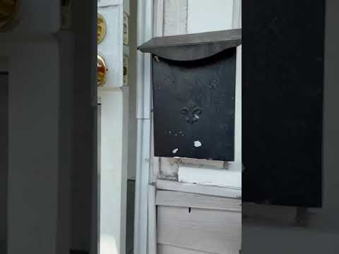 6232 Harrison, Hammond, IN home video tour