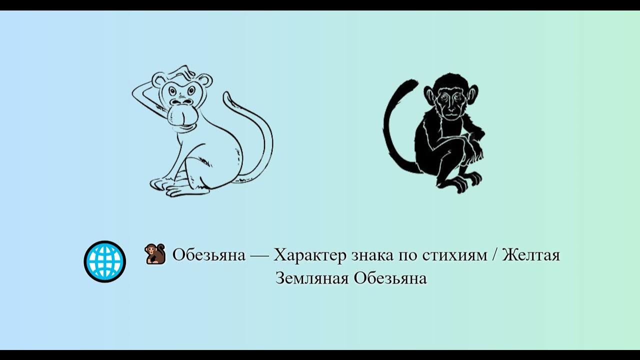Характер обезьяны. Какая ты обезьяна по знаку зодиака. Год обезьяны. Характеристика знака зодиака обезьяна. Гороскоп год обезьяны.