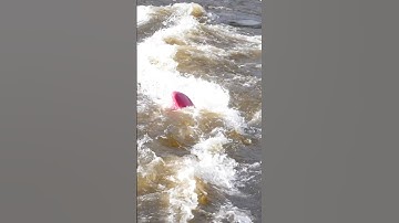 A great man once said “Boy that escalated quickly..”             📹- @Senders