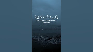 سورة القصص الآية 77 بصوت القارئ محمد الفقيه