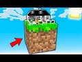 HO COSTRUITO UNA CASA REALISTICA SU UN SOLO BLOCCO DI MINECRAFT!