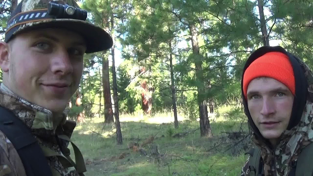 Eastern Oregon Archery Elk Hunt 2019 YouTube