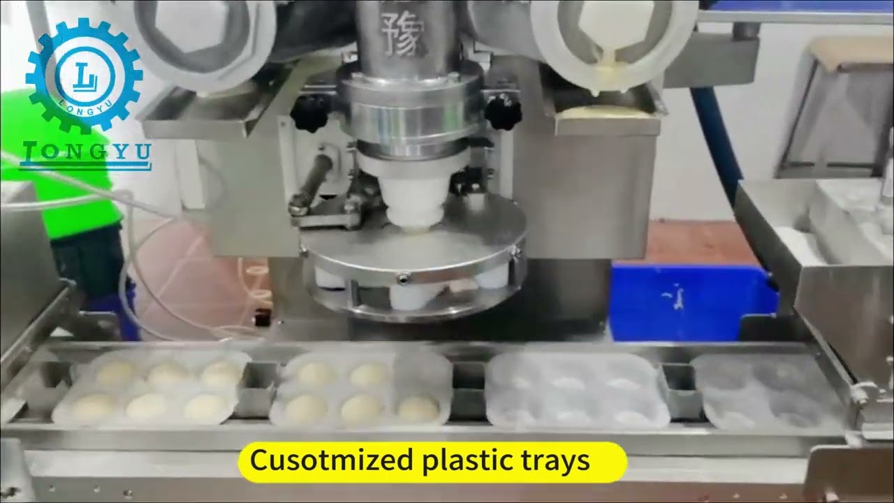 Automatic double filling ice cream mochi production line