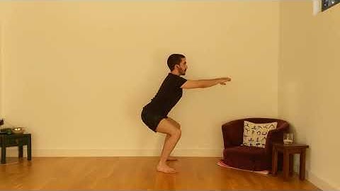 Standard Squat (Good Form; Side View— Nick-E.com Exercise Library