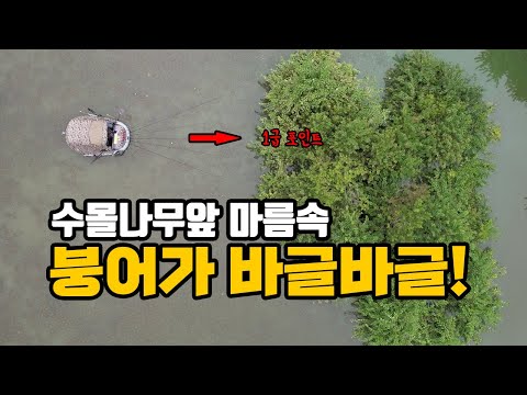 *가온*~~피싱다이어리 제514회붕어보트낚시
