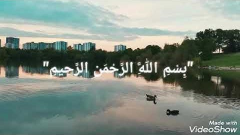 السورة التي تشفع لصاحبها وتنجيه من عذاب القبر /سورة الملك/🌹