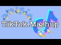 TikTok Mashup October 2021 (not clean)