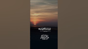 ولسوف يعطيك ربك فترضى #ماهر_المعيقلي #ايات_من_القران_الكريم #تلاوة_خاشعة #quran #قرآن