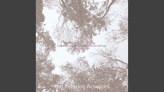 Mysterious Soft Rock - Vibe for Quiet Time screenshot 3