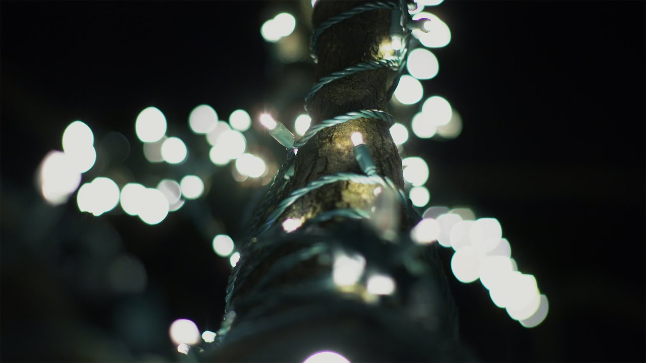 Season of Lights Illuminates Our Way Forward