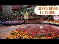 El vivero más grande que he visitado, mercado de plantas│Candy Bu