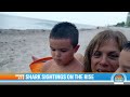 Man and Pregnant Fiancée Survive Shark Attack in Florida