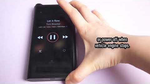 What is the function of the M15