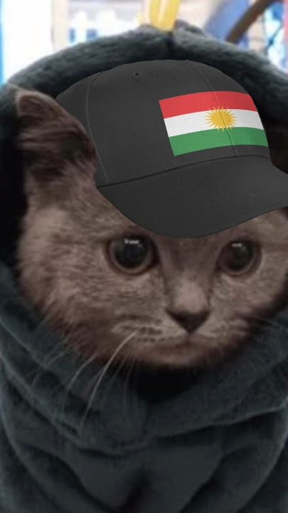 I may have started an army… #memes #kurdish #funny #shorts #poland #turkey #army #fypシ