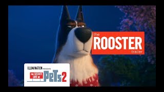 The Secret Life Of Pets 2 - ® Trailer 6 [HD]