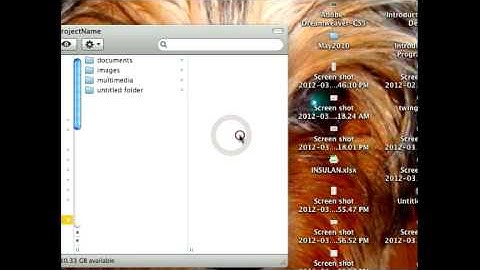 Creating a Basic Root Folder