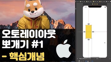취준생을 위한 아이폰 앱개발 강좌 오토레이아웃 개념  - Swift UIkit fundamental Tutorial (2020) - autolayout basic concept