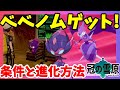 【ポケモンソードシールド】ベベノムゲット!異世界から来たウルトラビーストの隠しイベント!冠の雪原【エキスパンションパス】