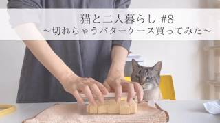 猫と二人暮らし〜カットできちゃうバターケース買ってみた〜 Vlog#8