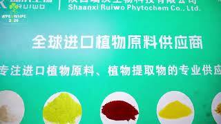 WPE&WHPE × PE-TECH 2026: 700+ Exhibitors, Live Demos & Full Supply Chain | Xi'an