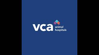 A Passion for Veterinary Mentorship: Dr. Wendy Deal